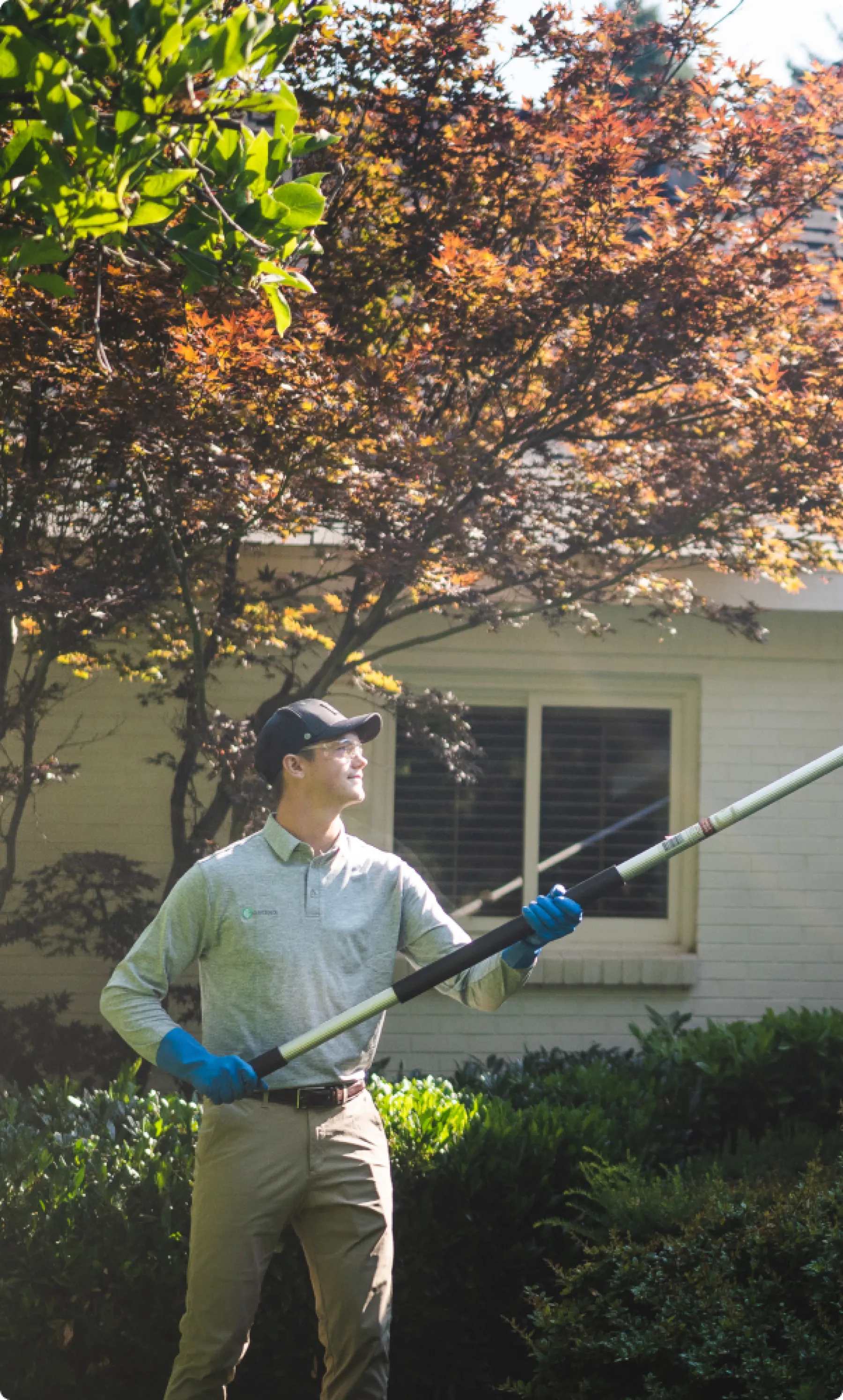 General Pests & Occasional Invaders Greenix Pest Control