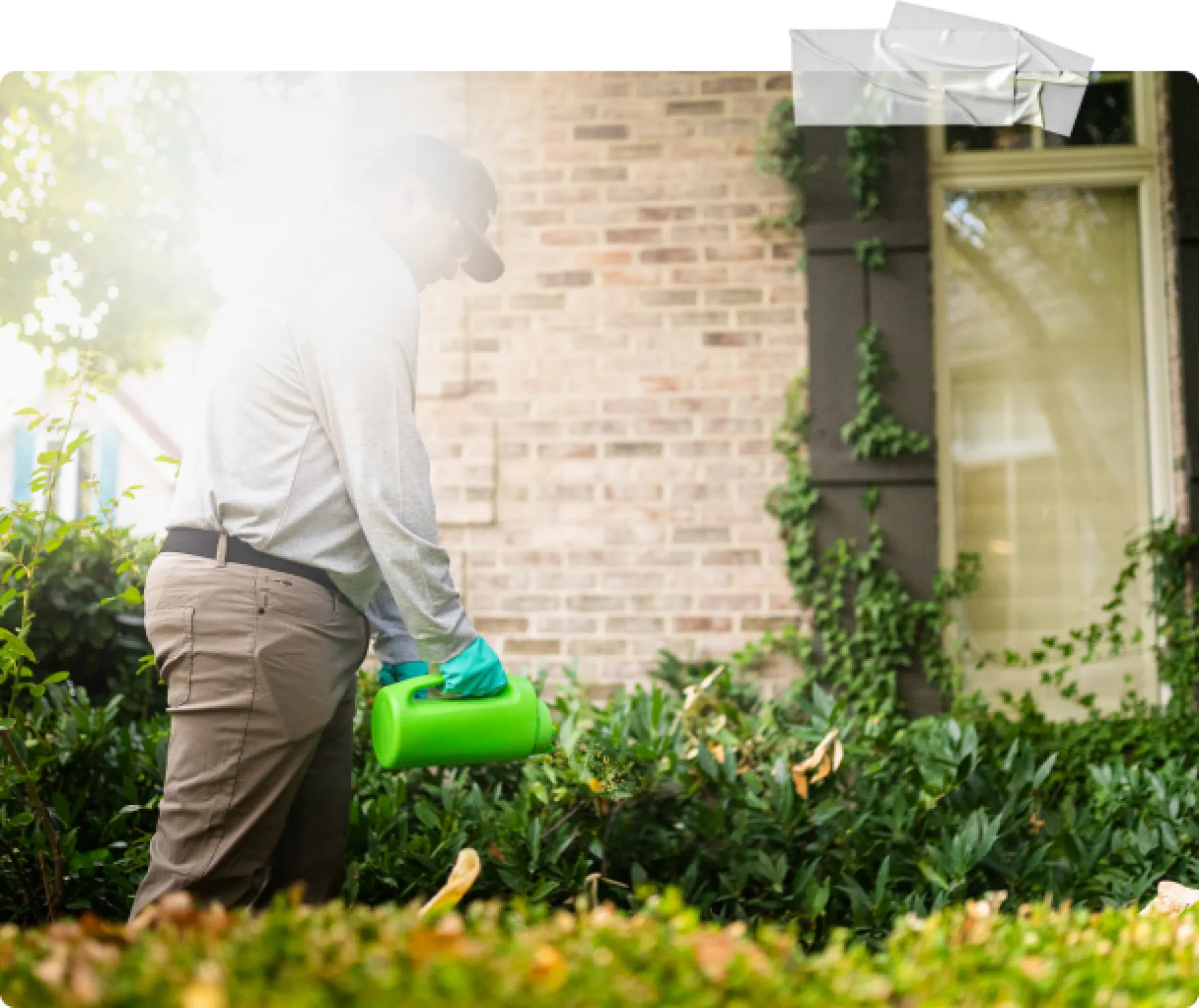 Pest Control Holland Greenix Pest Control