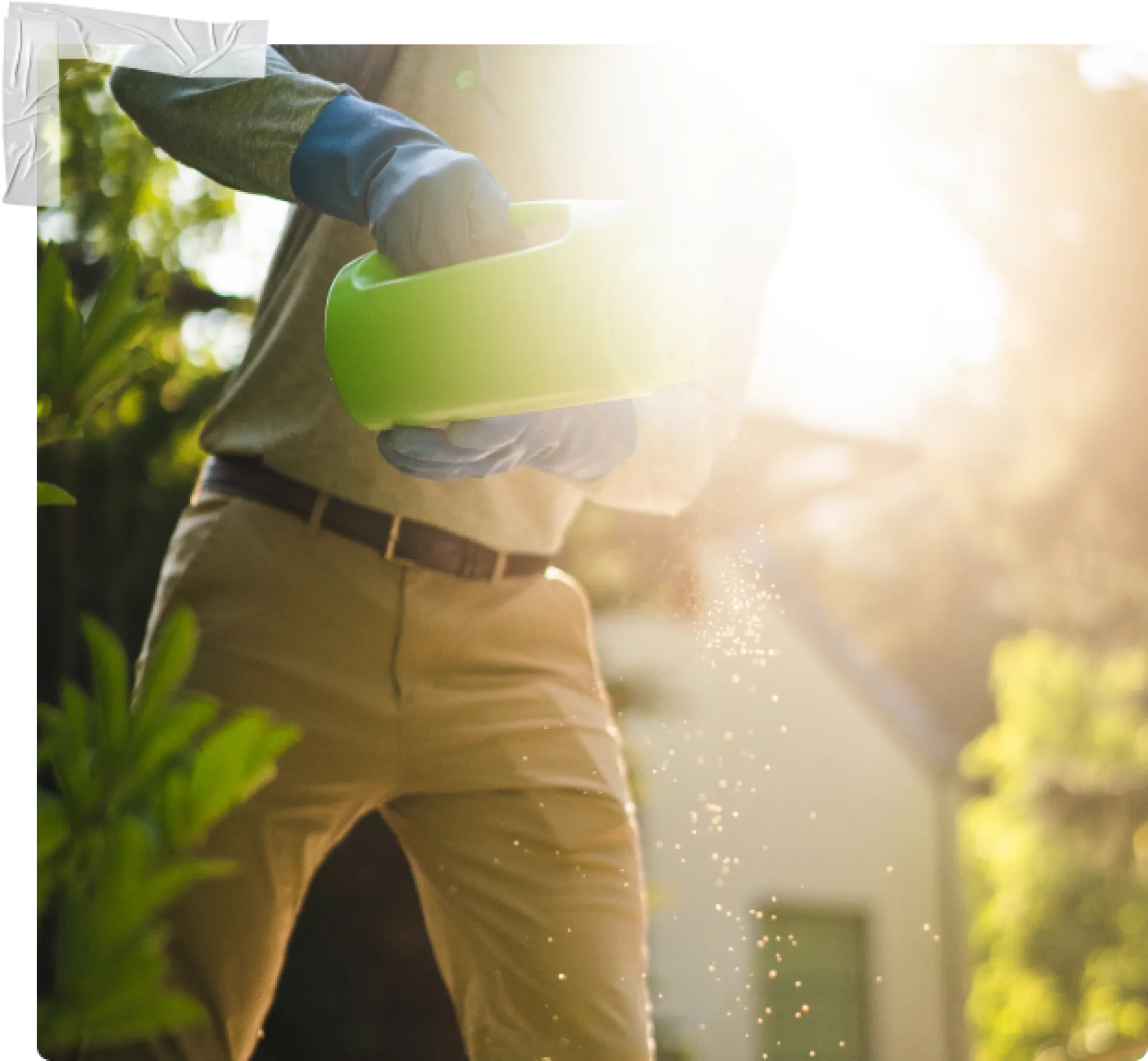 Exterminator Services & Pest Control Des Moines Greenix Pest Control