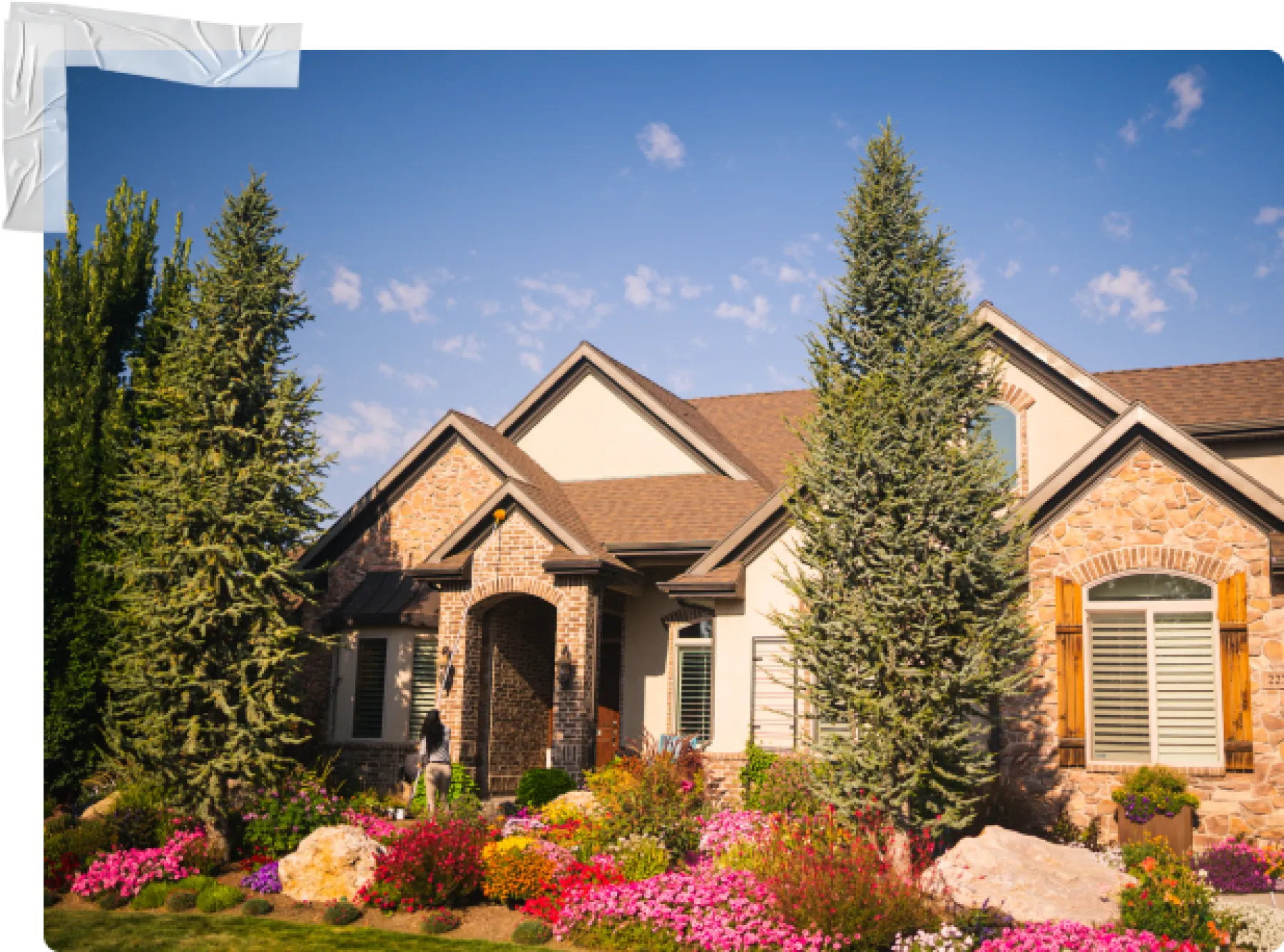 Exterminators & Pest Control Grand Rapids, MI Greenix Pest Control