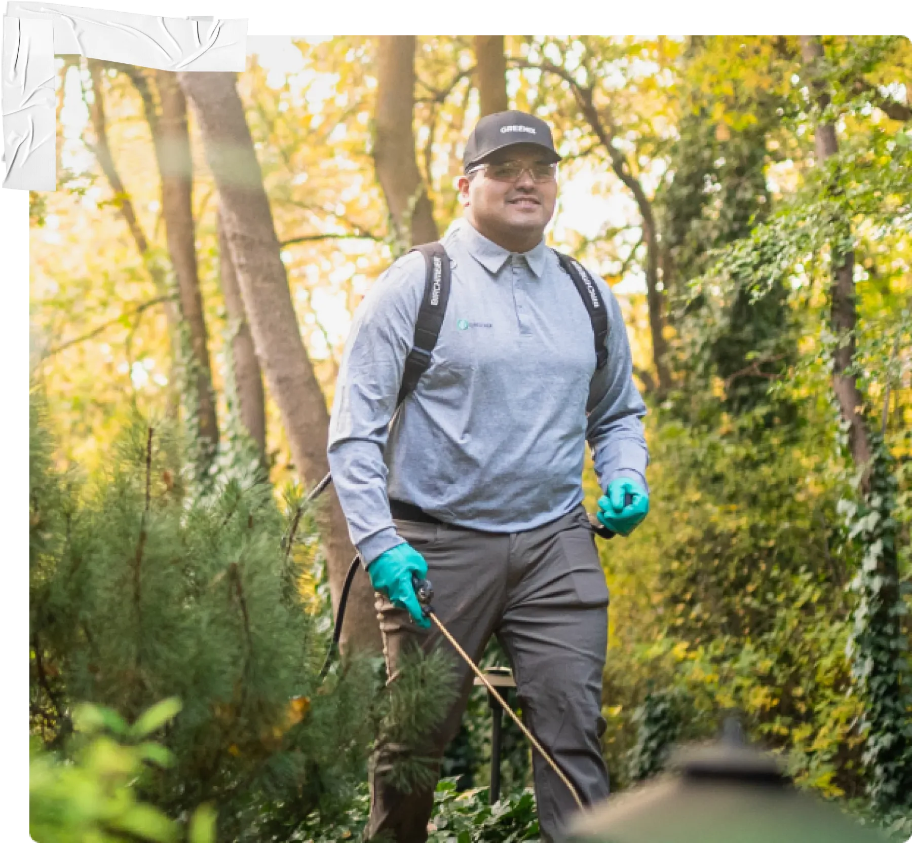 Pest Control Rochester Hills Greenix Pest Control