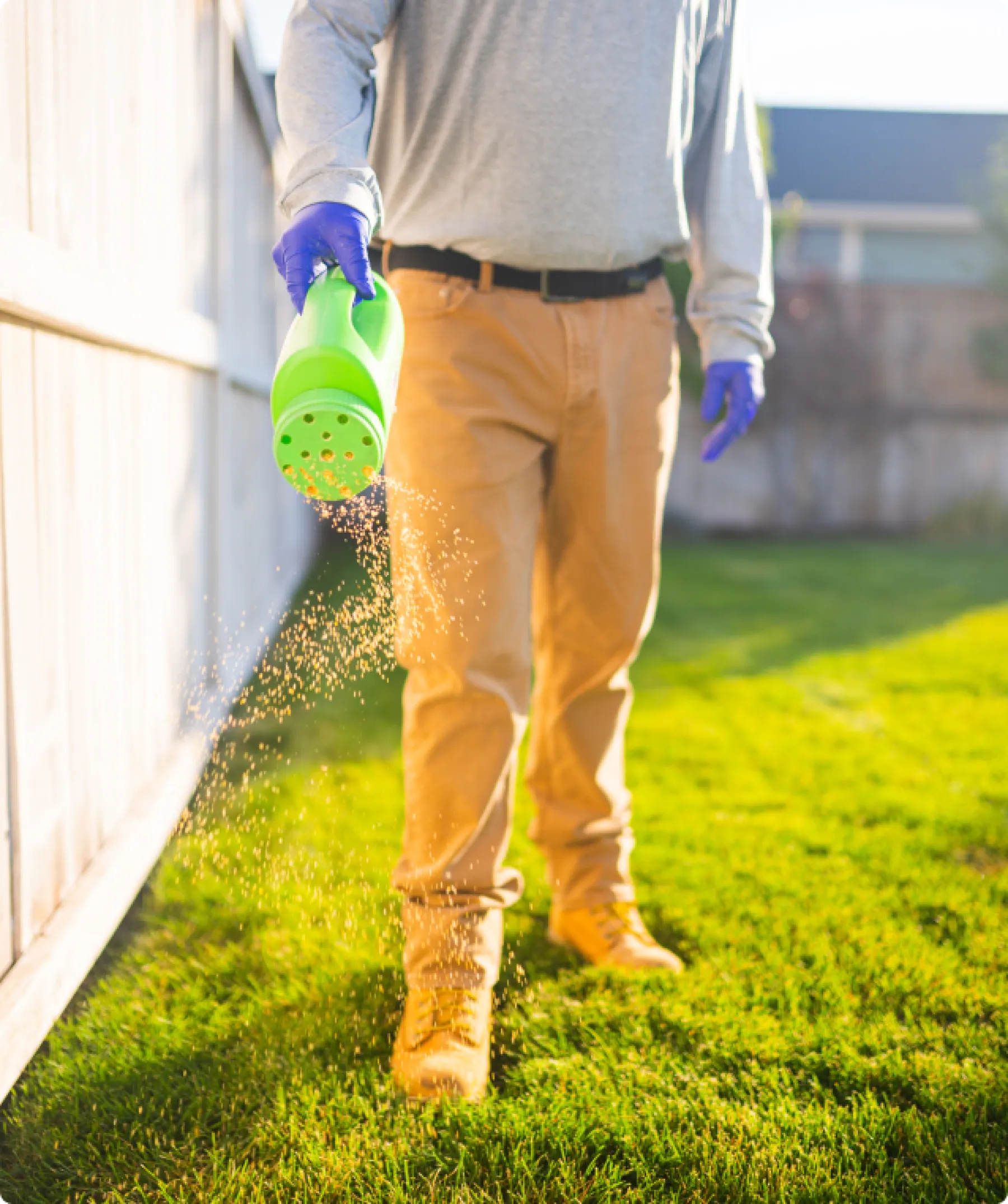Professional Exterminators and Pest Control Indianapolis Greenix Pest Control