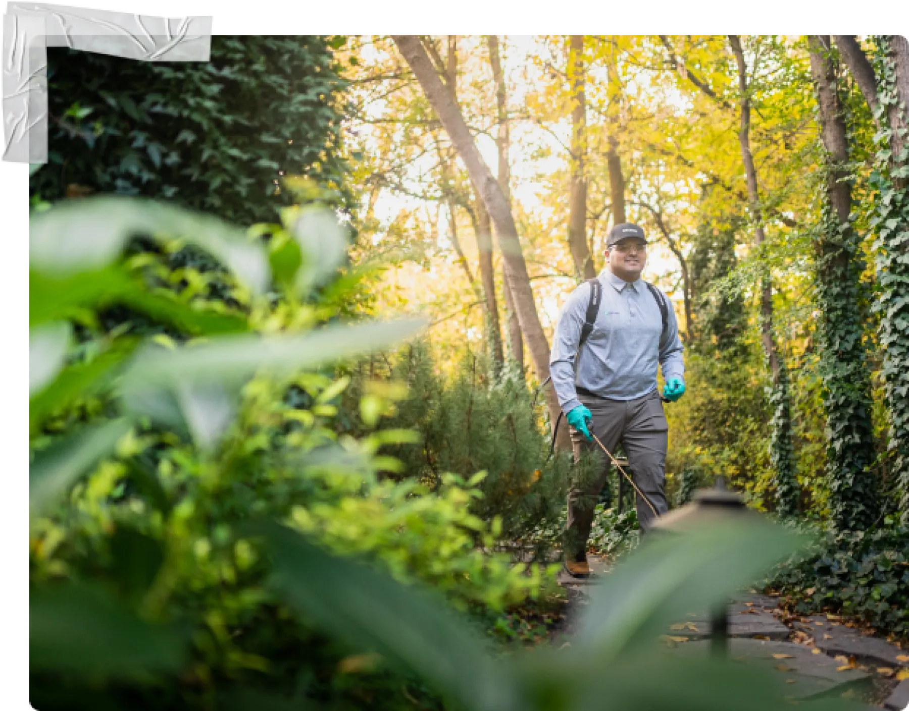 Pest Control Lexington Greenix Pest Control