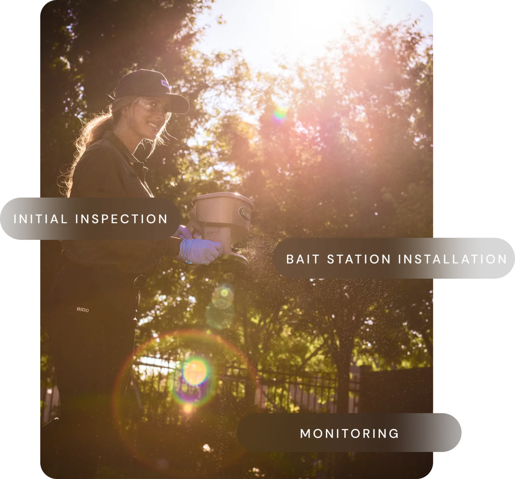 Termite Prevention RIDD Pest Control