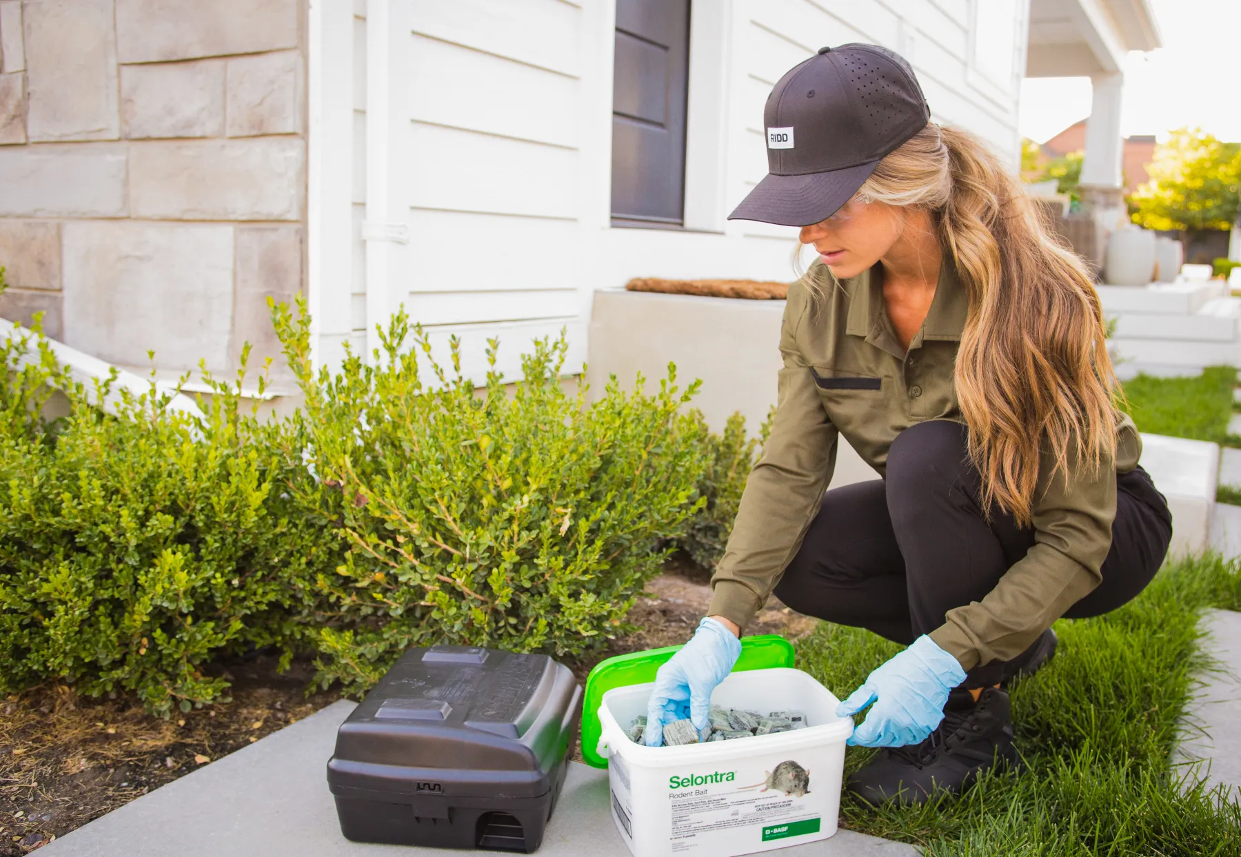 Pest Control Jacksonville, FL Rodent Control in Jacksonville, FL