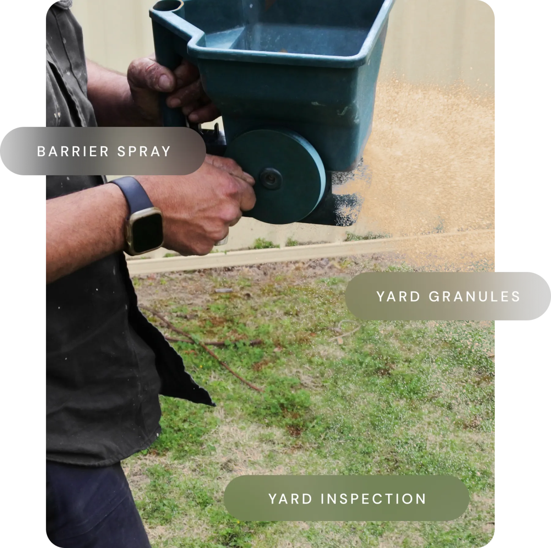 Mole Care Services | RIDD Pest Control