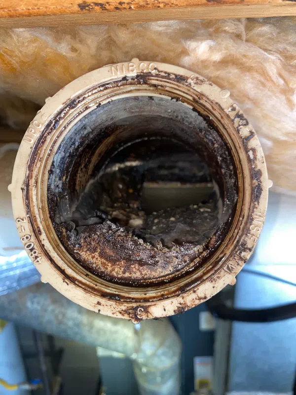 Inside of the old kitchen drain fitting caked with years of grease buildup