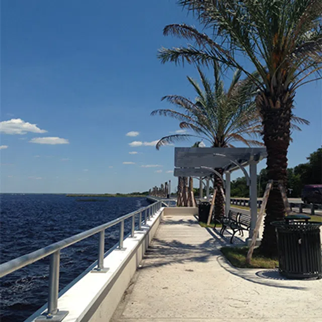 Waterfront promenade with palm trees, benches, and a clear blue sky along a calm river or lake shore.
