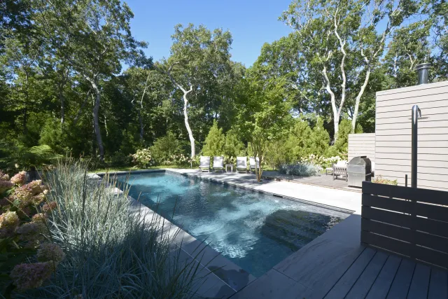 Modern backyard pool surrounded by trees, plants, lounge chairs, and a wooden deck with outdoor grill.