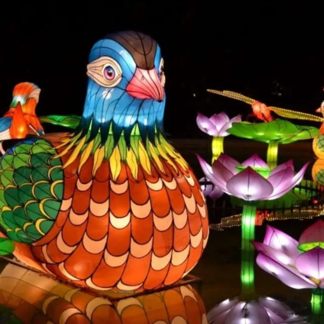 Colorful illuminated bird lantern with intricate feathers surrounded by glowing lotus flower lanterns at night festival.