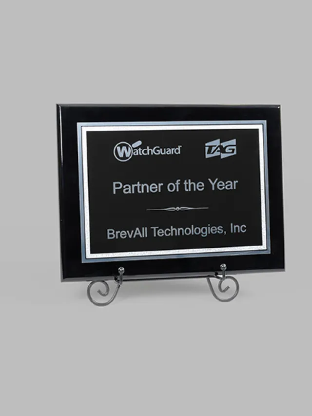 Award plaque featuring WatchGuard and TAG logos with the title 'Partner of the Year'.