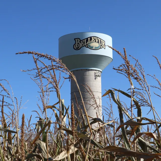 Bellevue water tower rising above dry corn stalks under a clear blue sky in a rural setting.
