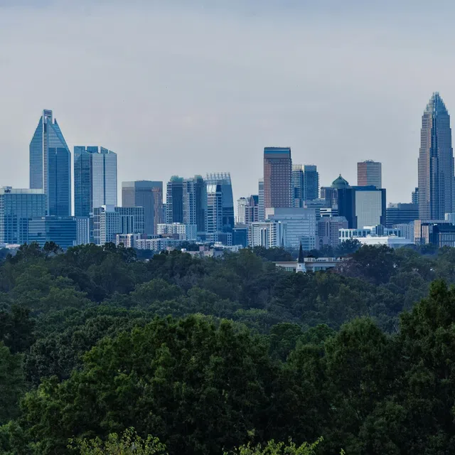 City skyline with modern skyscrapers behind a dense forest under a cloudy sky during daytime.