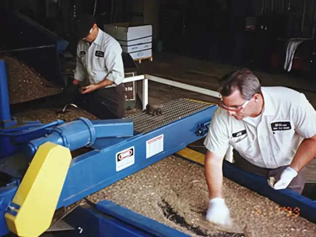Two workers inspecting and sorting nuts on a conveyor belt in an industrial setting.