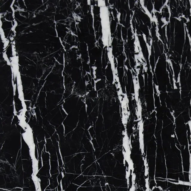 a black and white photo of trees