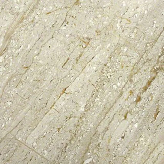 a close up of a rock
