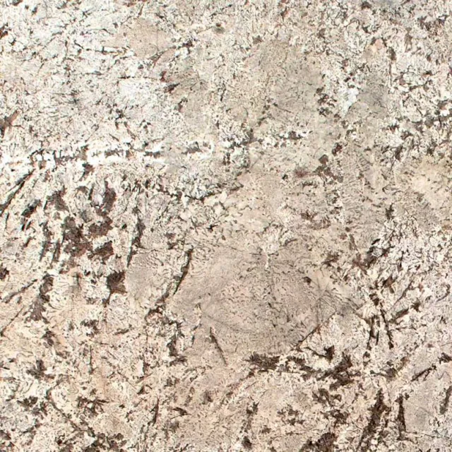 a close up of white flowers