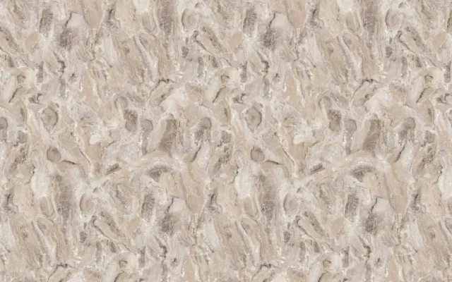a close up of a rock