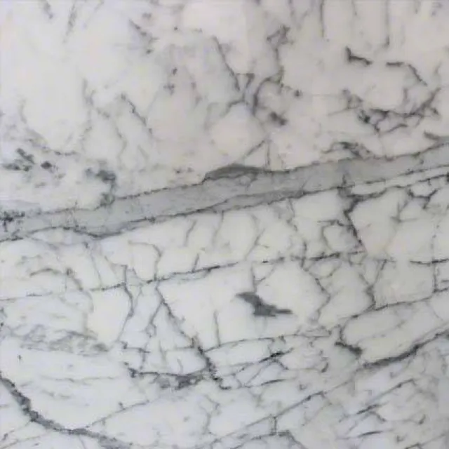 a close up of some branches