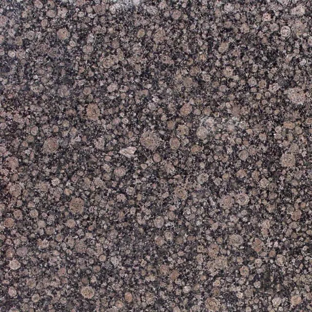 a close up of a rock