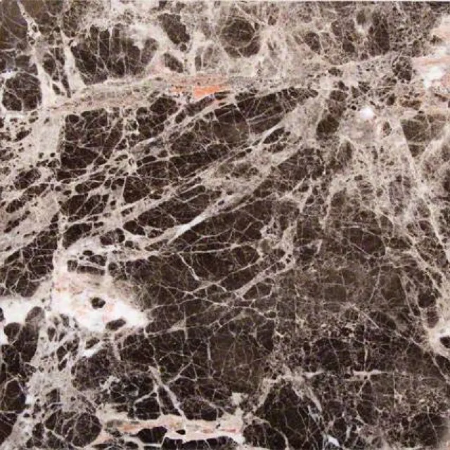 a close-up of a tree