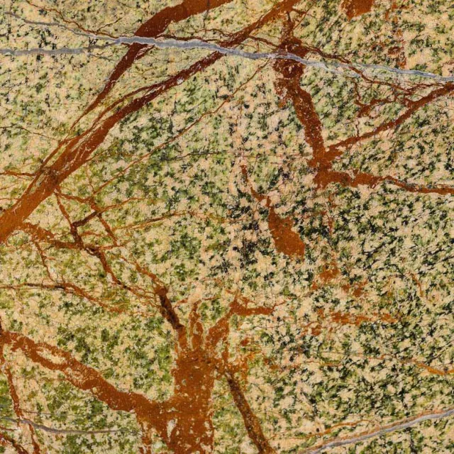 a view of a forest
