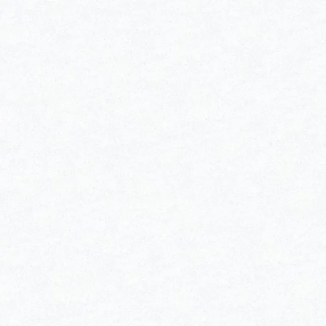 a white rectangle with a black border