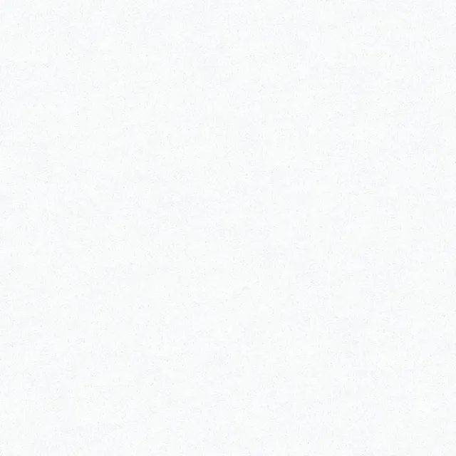 a white square with a black border