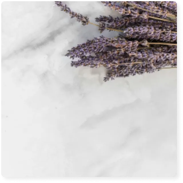 lavender sprigs on a marble countertop