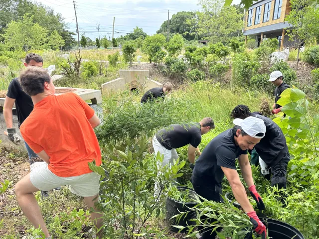 a group of people working in a garden