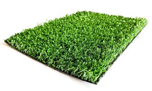 a close-up of a green plant