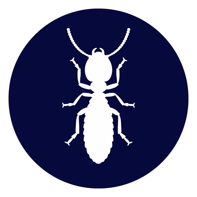 White termite insect silhouette inside a dark blue circular background icon.