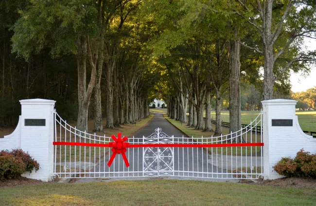 a white fence with a red ribbon
