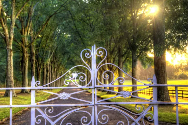 a metal fence with a metal frame