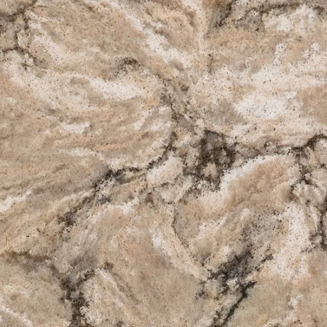 a close up of a rock