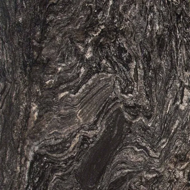 a close up of a tree