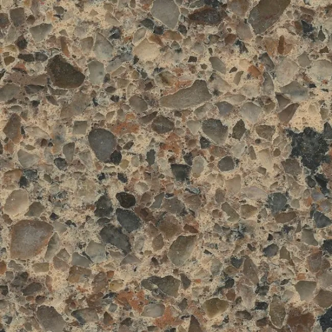 a close-up of some rocks