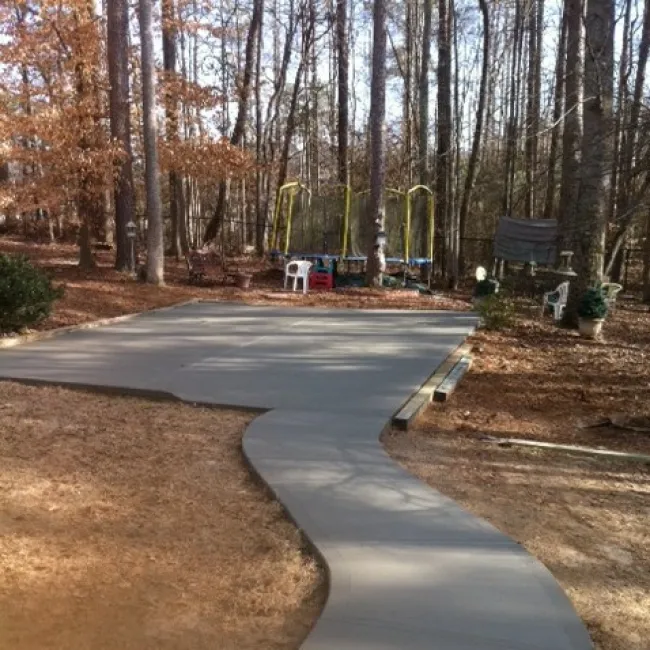 a path with trees on the side