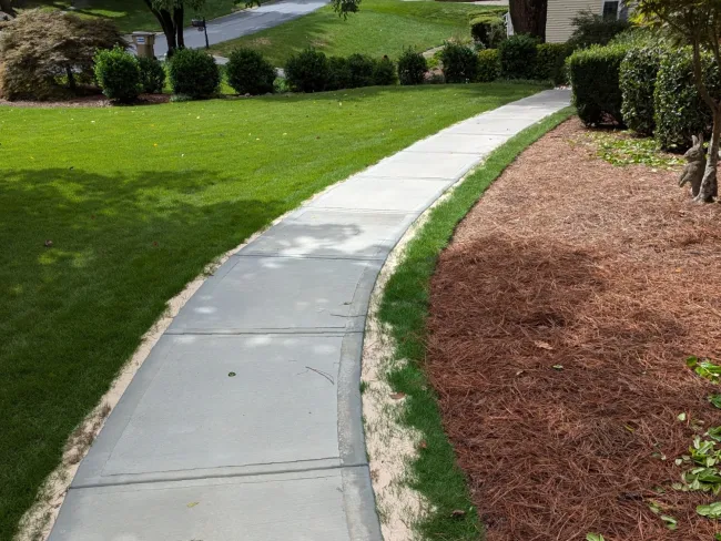 a sidewalk with grass and trees