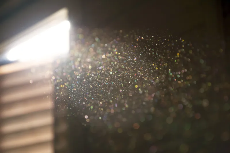 dust motes in the air