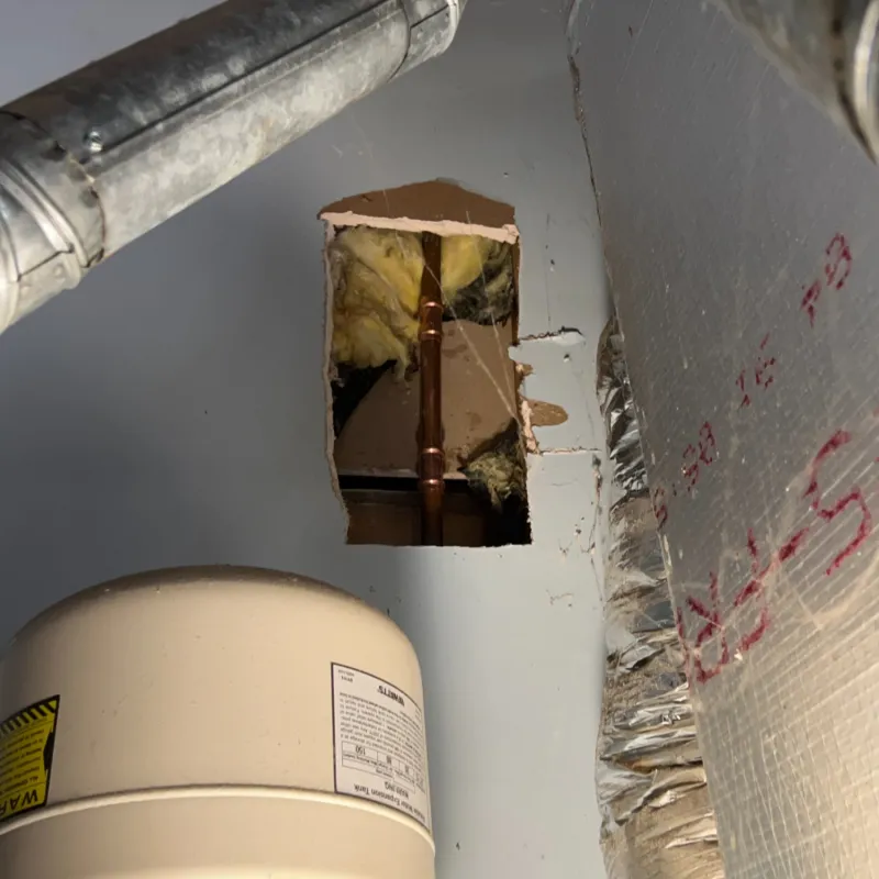 Leak Repairs in Gwinett, Georgia