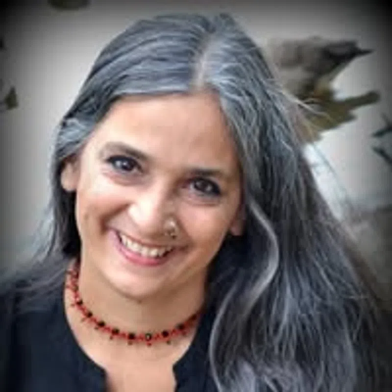Author Shanti Krishnamurty