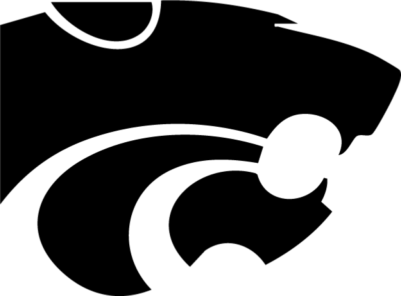 Boise City High School logo
