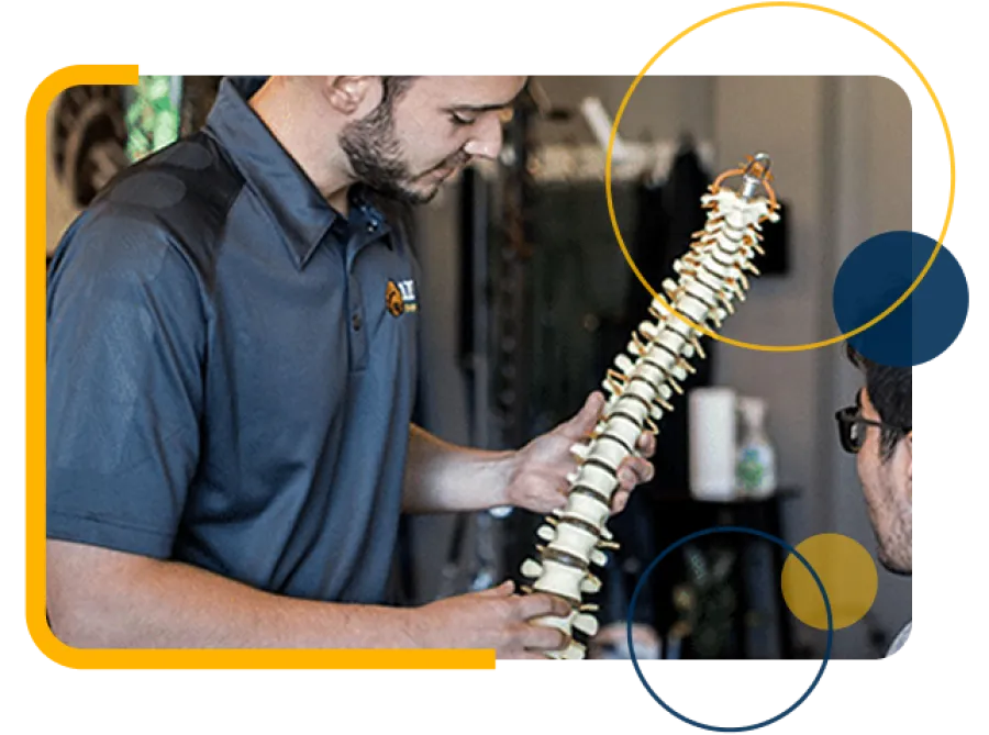 Chiropractor explaining human spine structure to patient using spine model in clinic setting