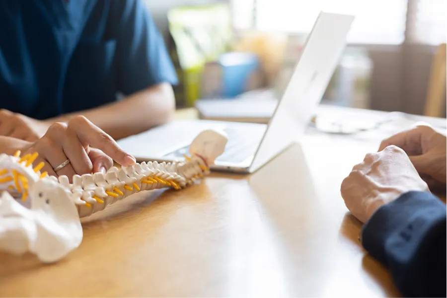 Doctor explaining spinal anatomy using a spine model during a consultation at a desk with a laptop.