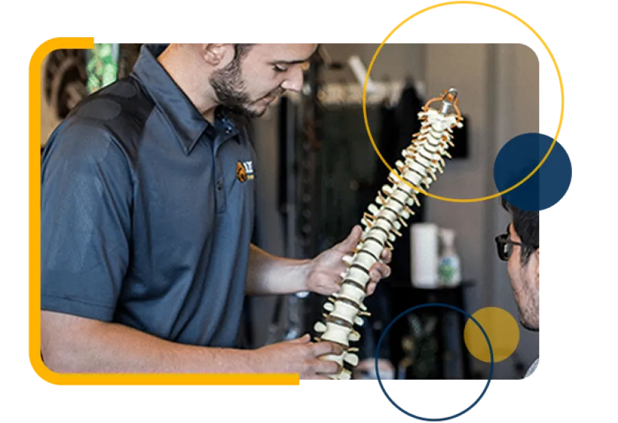 Chiropractor explaining spine anatomy using a spinal model to a patient in a clinical setting with modern decor.