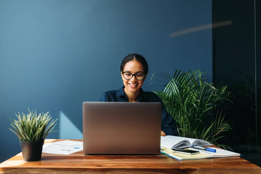 a person sitting at a desk with a laptop