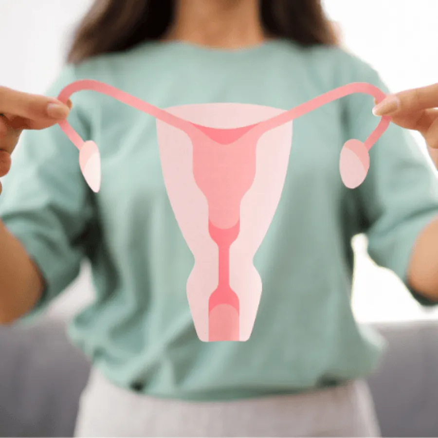 Person holding a pink paper cutout of female reproductive system including uterus and ovaries