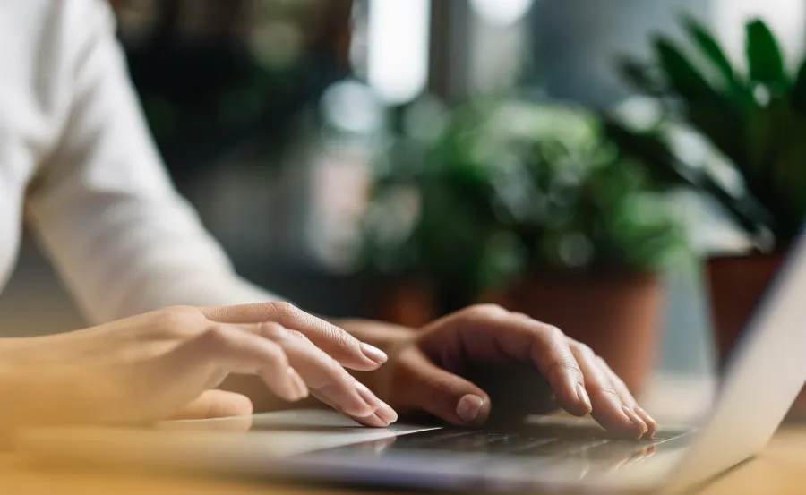 Close-up of hands typing on laptop keyboard with blurred plant background in natural light.