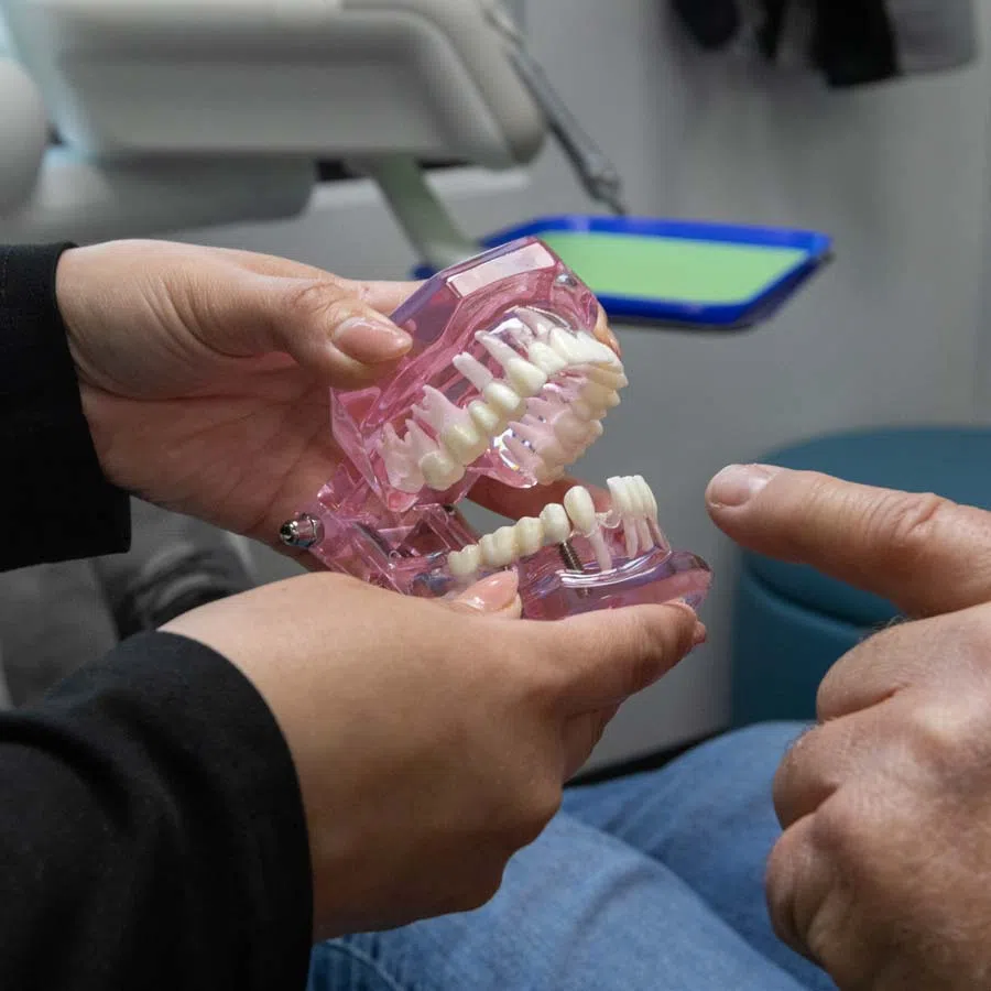 Dentist holding a dental model showing teeth and implants while a patient points at it during consultation